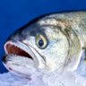 bababumbaumba