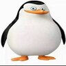 JOSWER