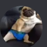 mustofa