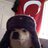 ens14b